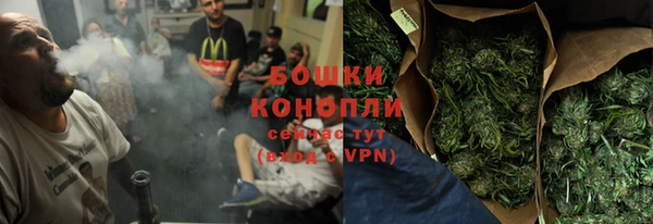 дурь Новодвинск