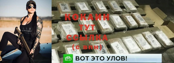 прущие крисы Новозыбков