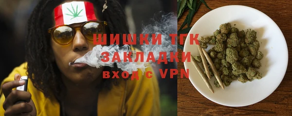 прущие крисы Новозыбков