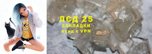 прущие крисы Новозыбков