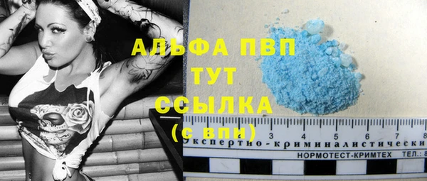 стаф Билибино