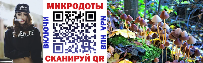 MEGA как зайти  даркнет сайт  Пошехонье  Псилоцибиновые грибы мухоморы 