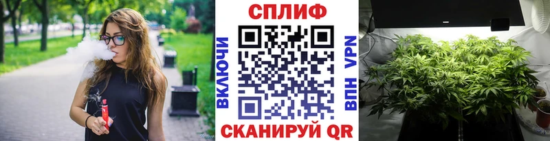 Конопля MAZAR  Пошехонье 